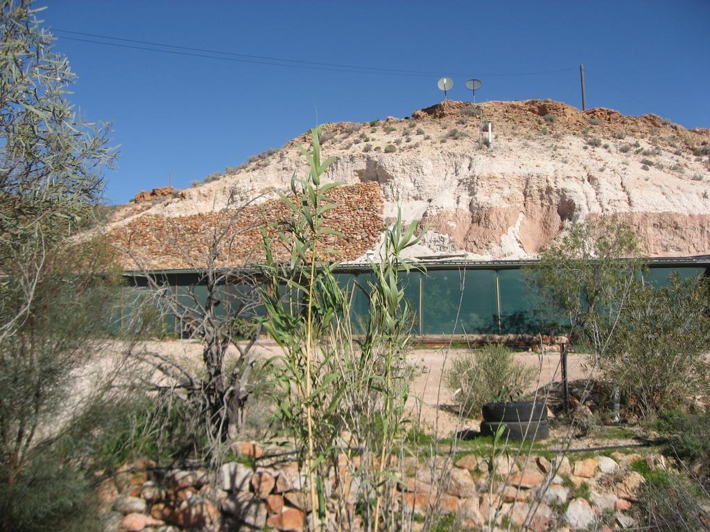 كوبر بيدي Venushill B+B المظهر الخارجي الصورة