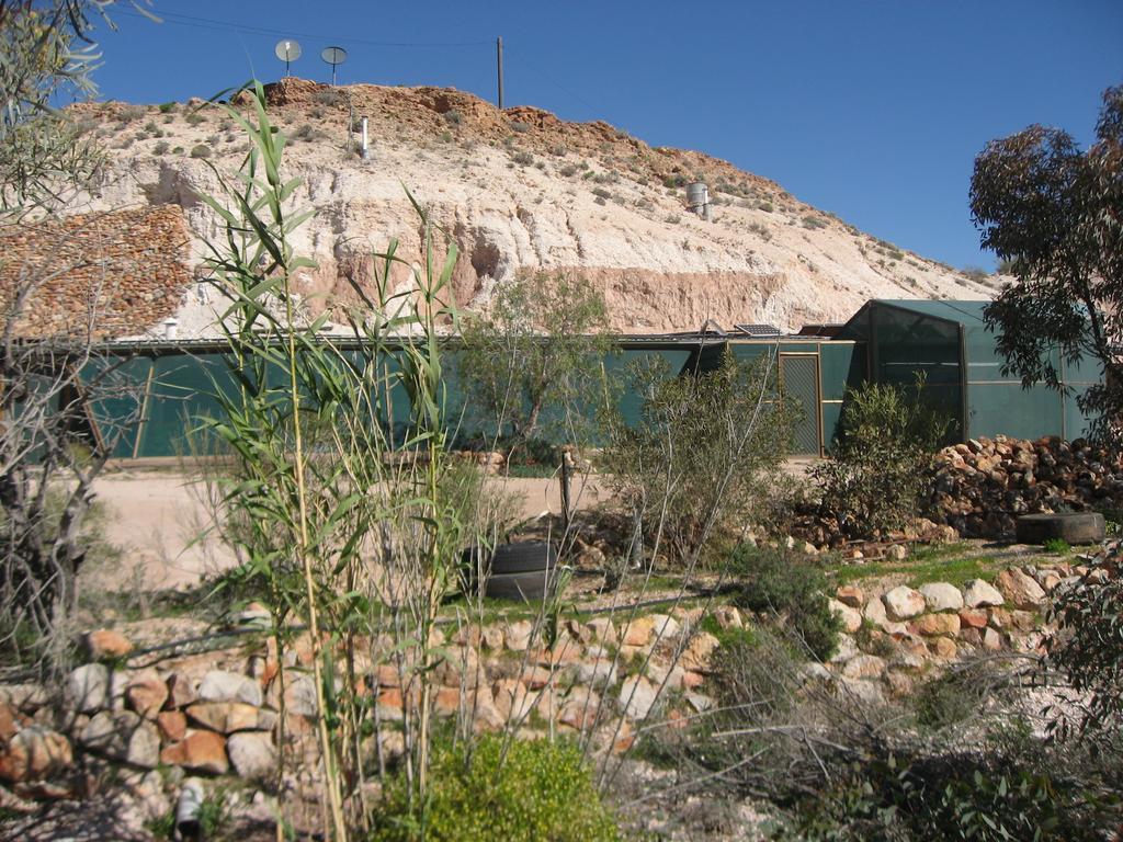 كوبر بيدي Venushill B+B المظهر الخارجي الصورة
